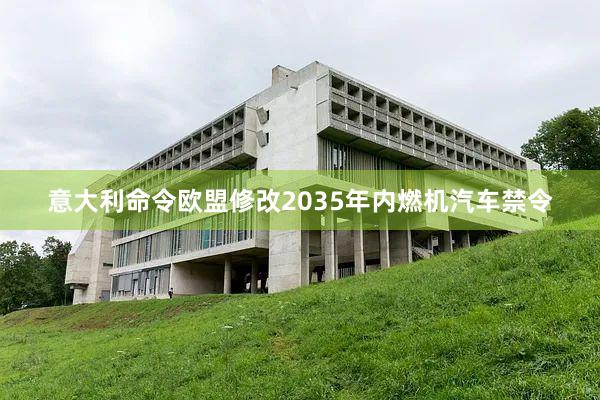 意大利命令欧盟修改2035年内燃机汽车禁令