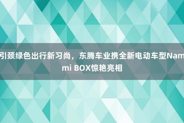 引颈绿色出行新习尚，东腾车业携全新电动车型Nammi BOX惊艳亮相