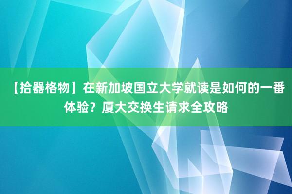 【拾器格物】在新加坡国立大学就读是如何的一番体验？厦大交换生请求全攻略