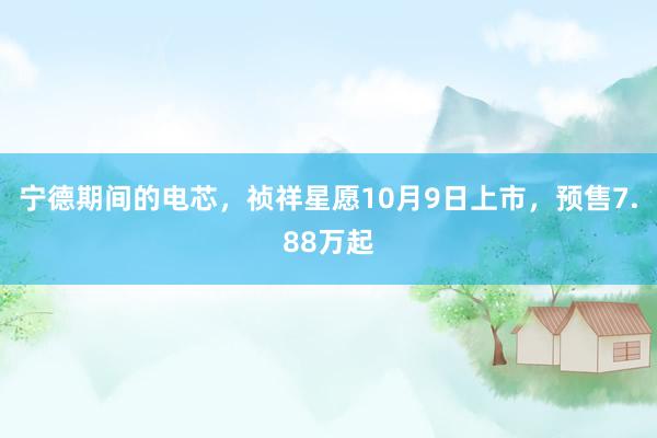 宁德期间的电芯，祯祥星愿10月9日上市，预售7.88万起