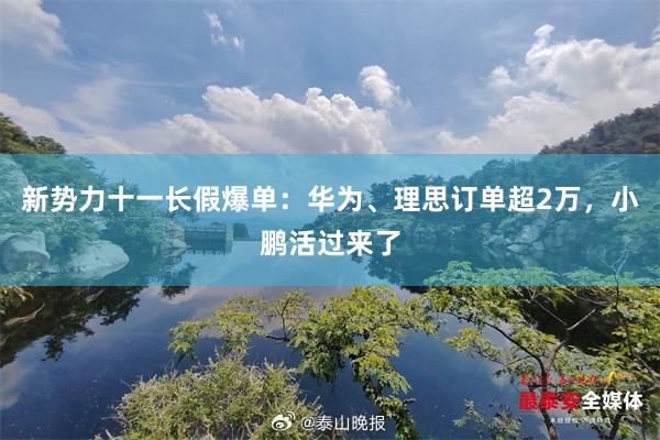 新势力十一长假爆单：华为、理思订单超2万，小鹏活过来了