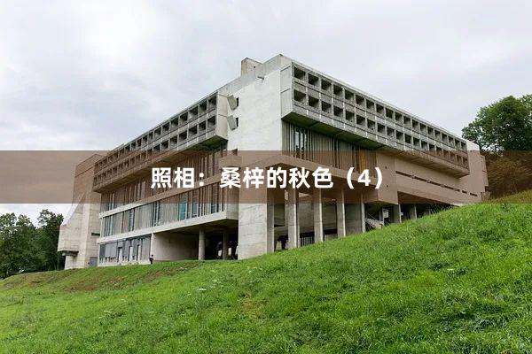 照相：桑梓的秋色（4）