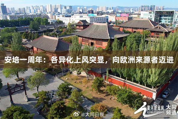 安培一周年：各异化上风突显，向欧洲来源者迈进