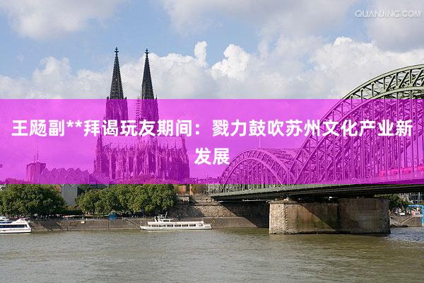 王飏副**拜谒玩友期间：戮力鼓吹苏州文化产业新发展