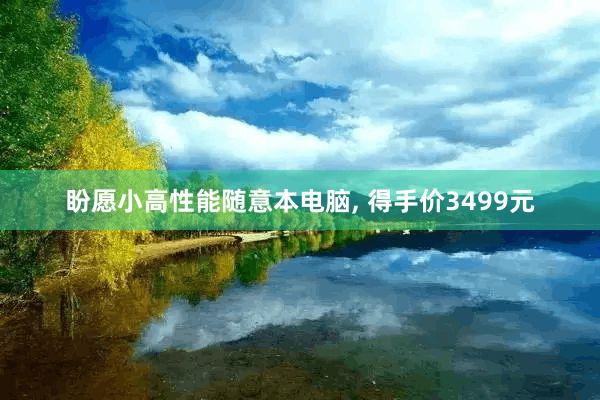 盼愿小高性能随意本电脑, 得手价3499元